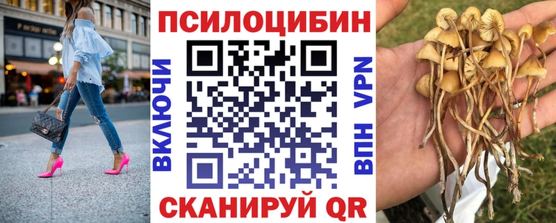 Купить где  Верхнеуральск  Галлюциногенные грибы прущие грибы 